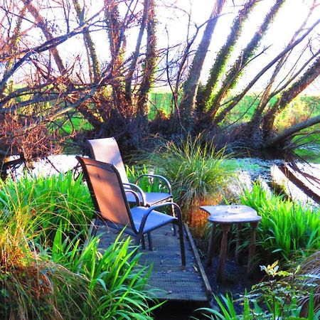 Shady Rest Bed & Breakfast Takaka Dış mekan fotoğraf